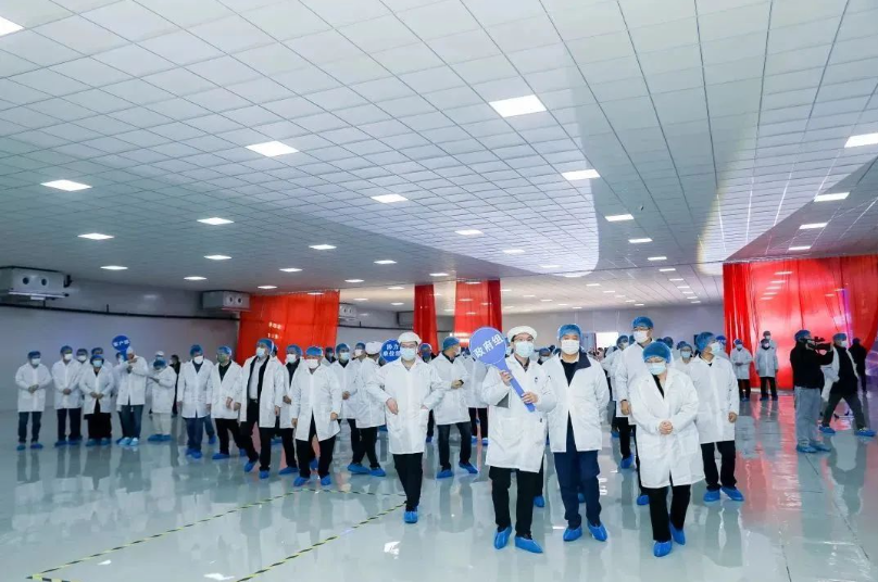 1670208691222187.png 1670208691222187.png